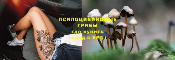 трава Алзамай