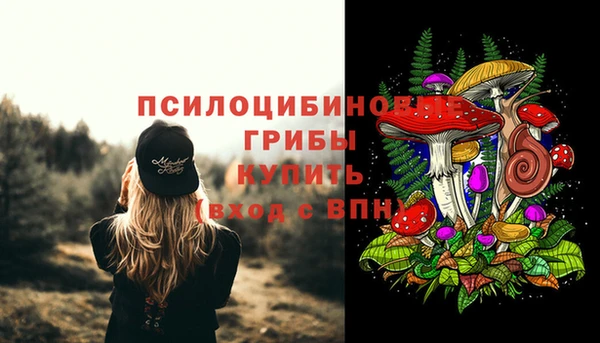прущие крисы Алексеевка